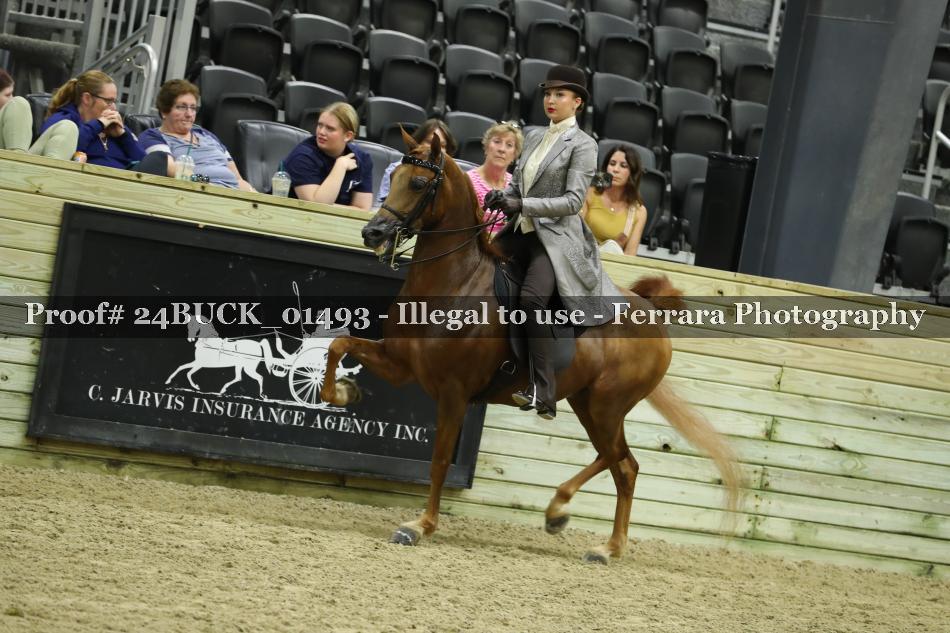 Proof Number 24BUCK_01493
