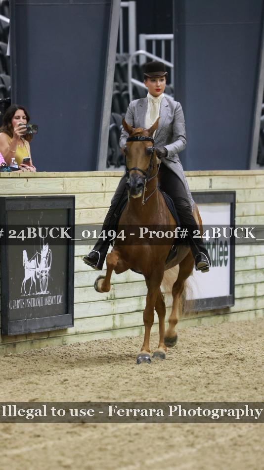 Proof Number 24BUCK_01494