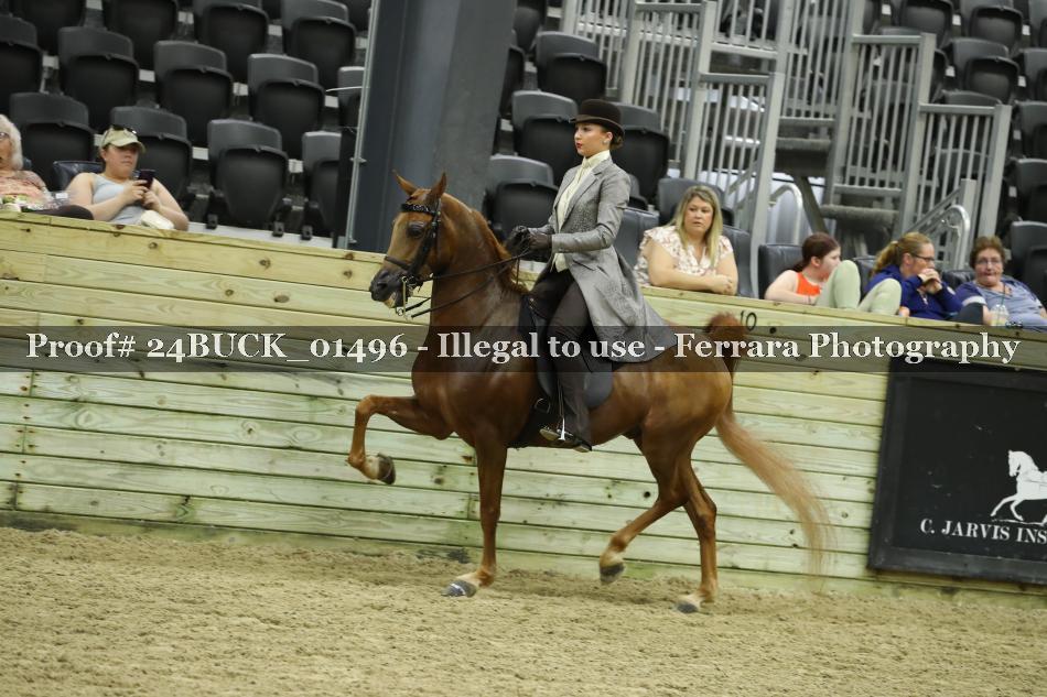 Proof Number 24BUCK_01496