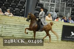 24BUCK_01496 thumbnail