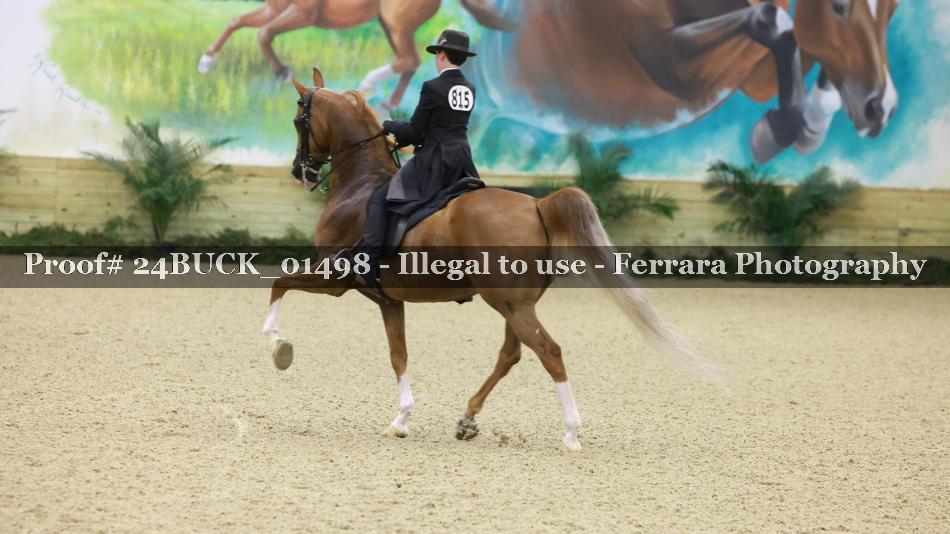 Proof Number 24BUCK_01498