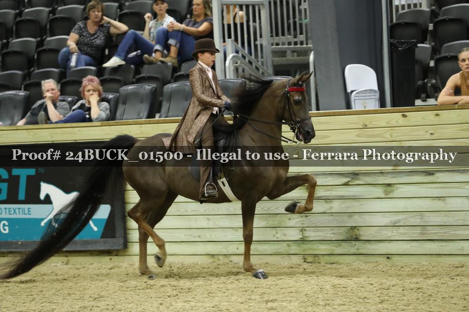 Proof Number 24BUCK_01500