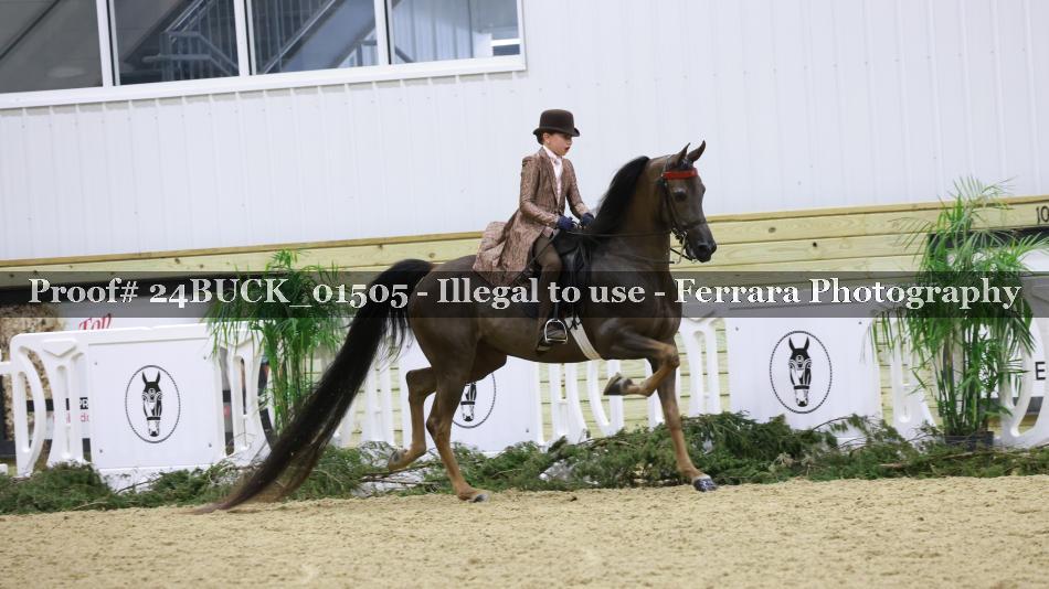 Proof Number 24BUCK_01505