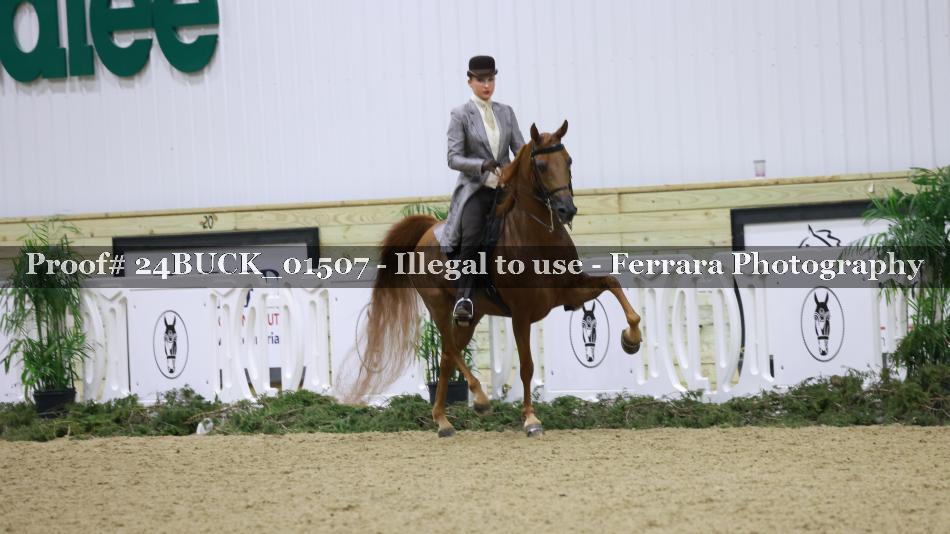 Proof Number 24BUCK_01507