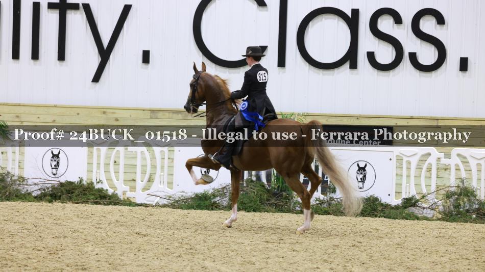 Proof Number 24BUCK_01518