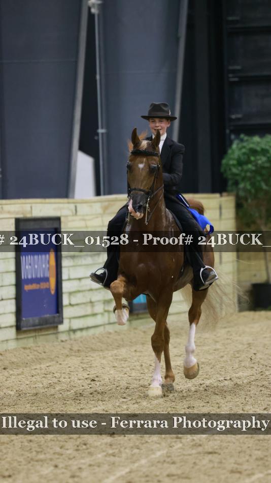 Proof Number 24BUCK_01528