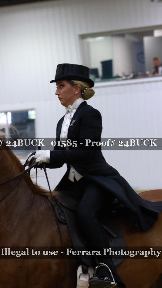 Proof Number 24BUCK_01585