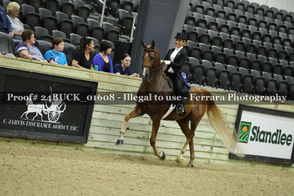 Proof Number 24BUCK_01608