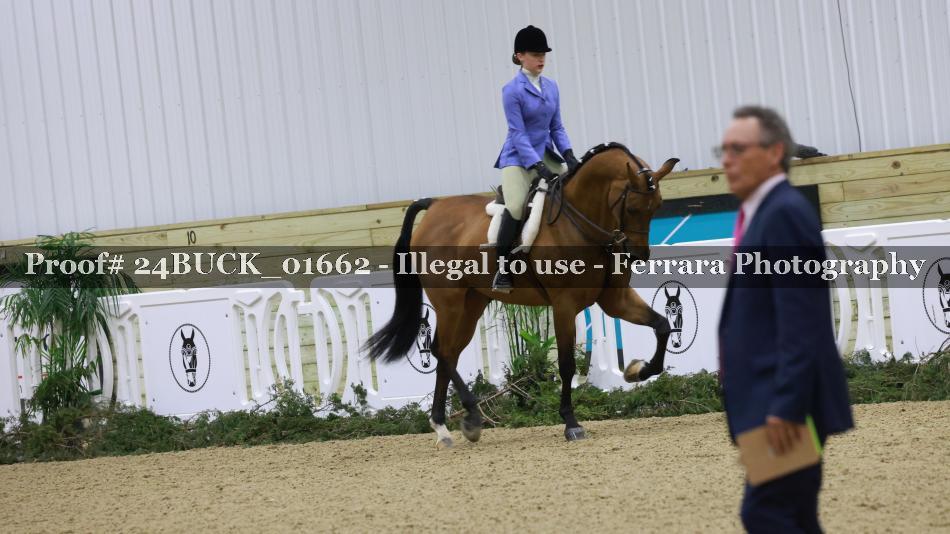 Proof Number 24BUCK_01662
