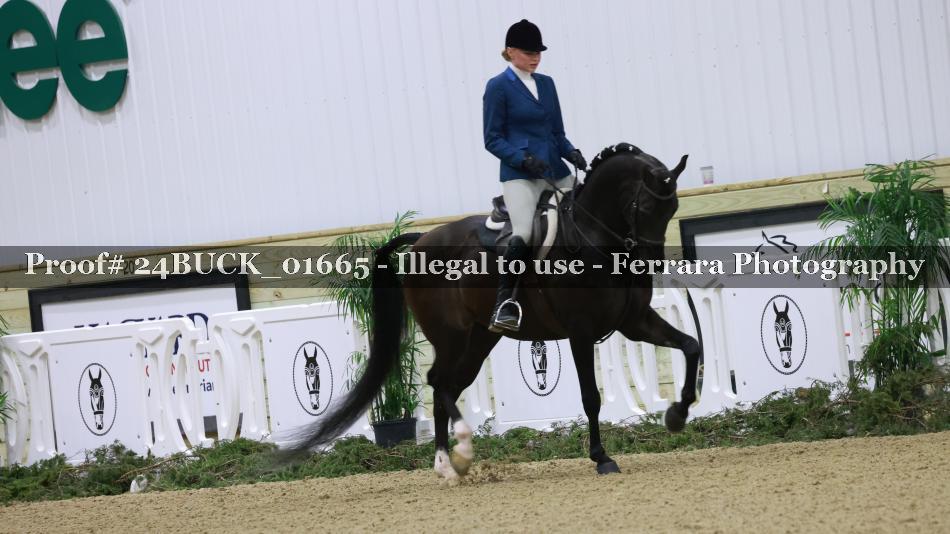 Proof Number 24BUCK_01665