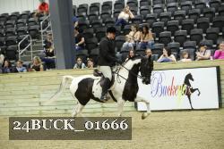 24BUCK_01666 thumbnail