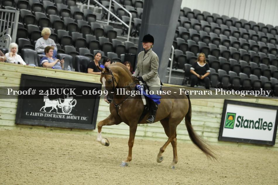 Proof Number 24BUCK_01699