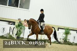 24BUCK_01852 thumbnail