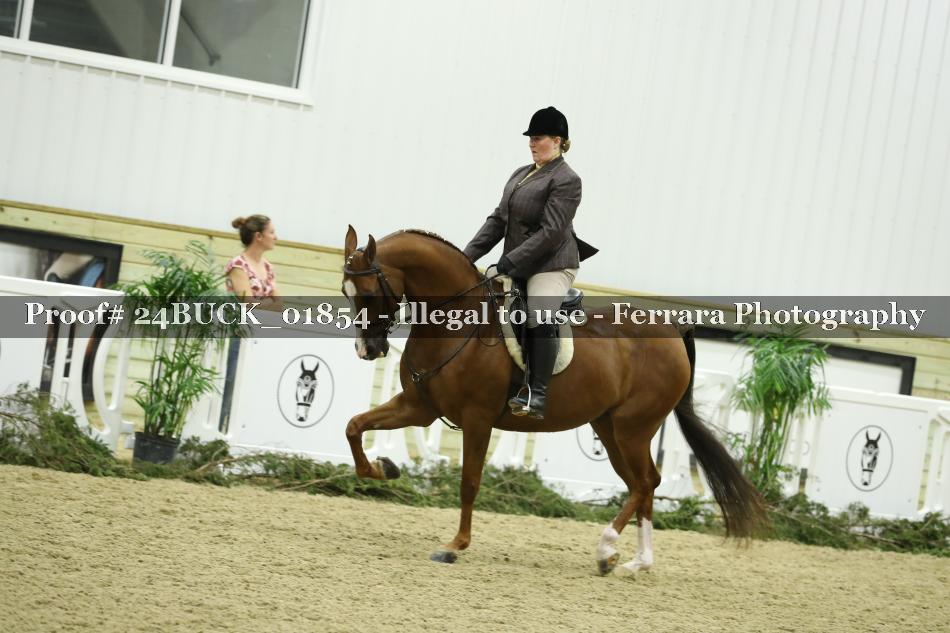Proof Number 24BUCK_01854