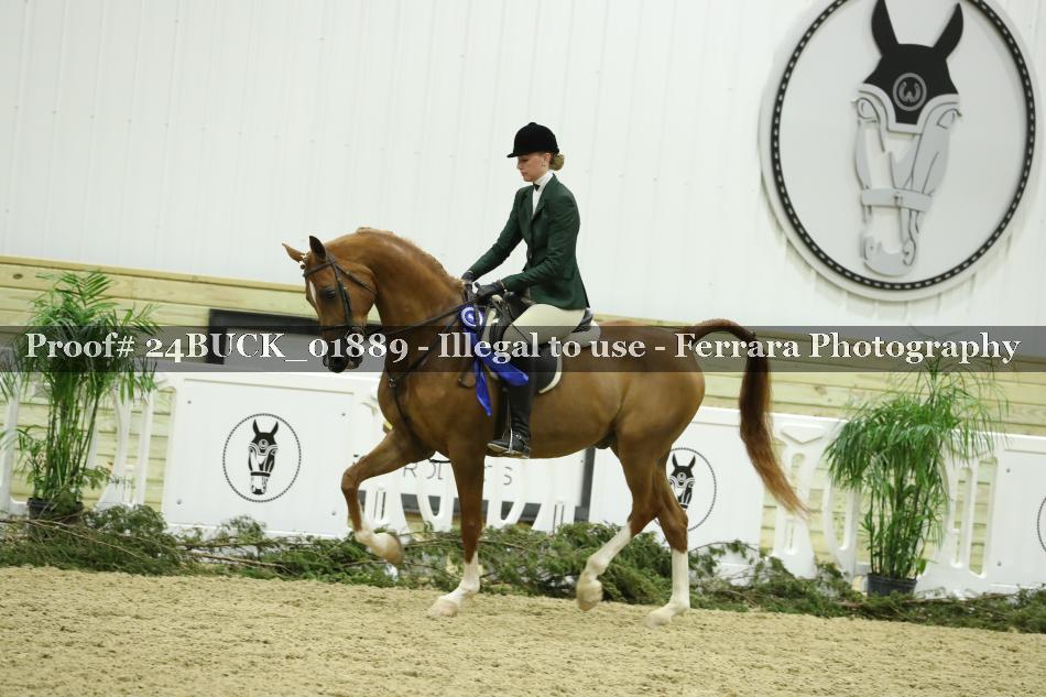 Proof Number 24BUCK_01889