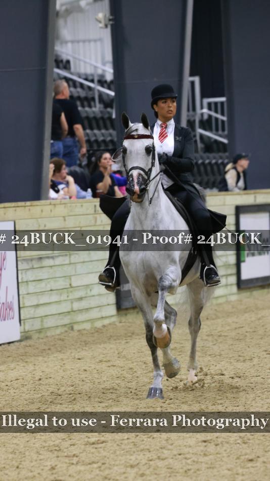 Proof Number 24BUCK_01941