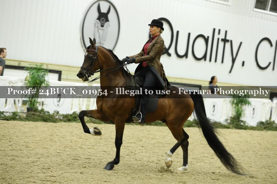 Proof Number 24BUCK_01954