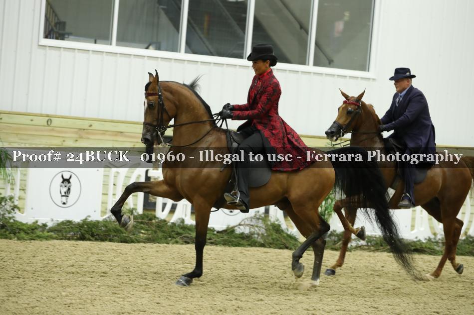 Proof Number 24BUCK_01960