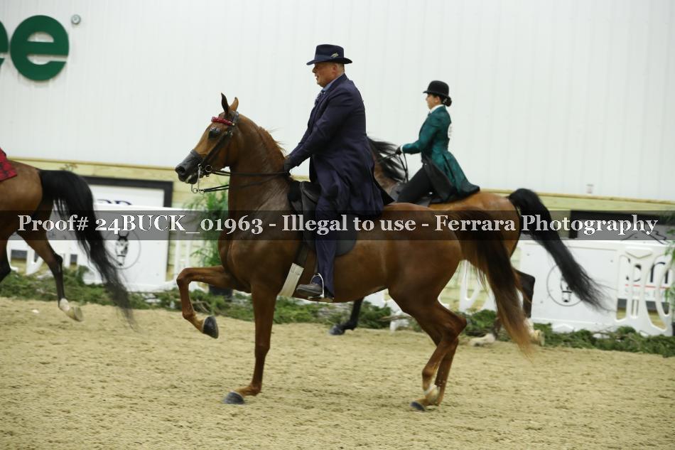 Proof Number 24BUCK_01963