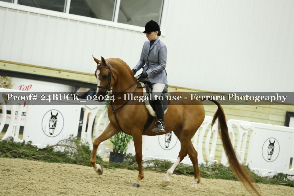 Proof Number 24BUCK_02024