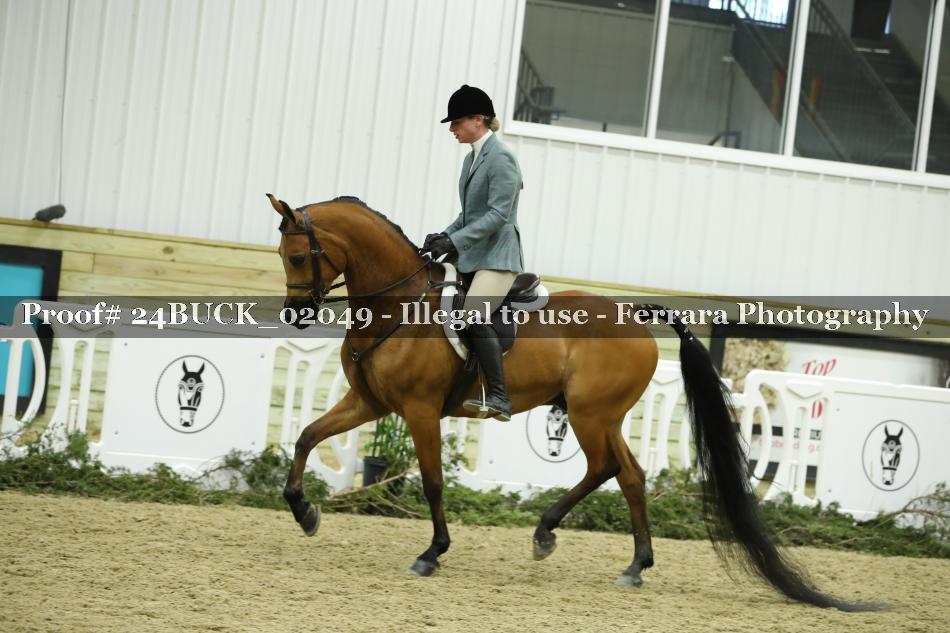 Proof Number 24BUCK_02049