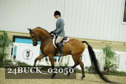 24BUCK_02050 thumbnail