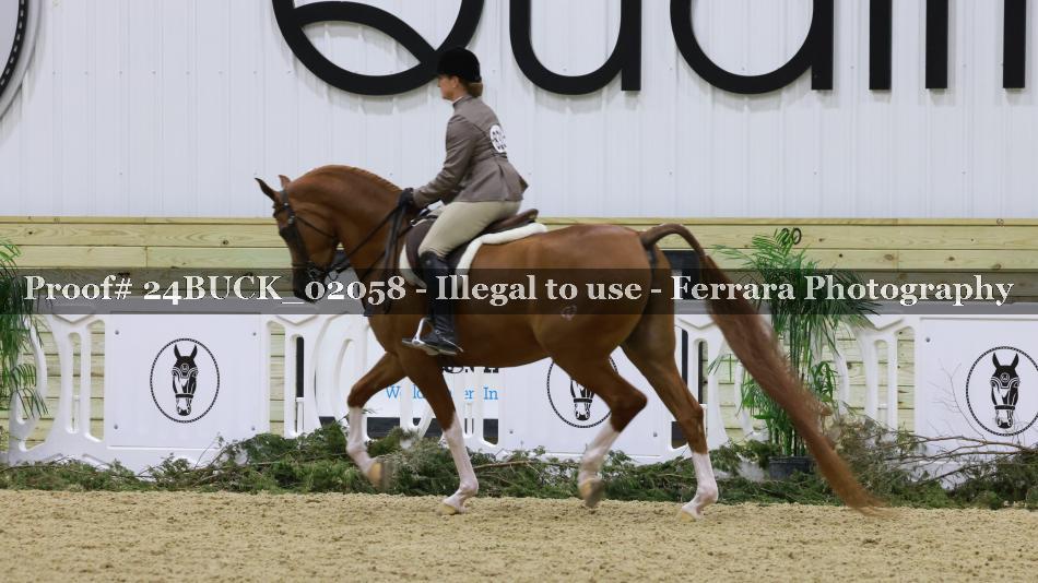 Proof Number 24BUCK_02058
