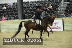 24BUCK_02061 thumbnail