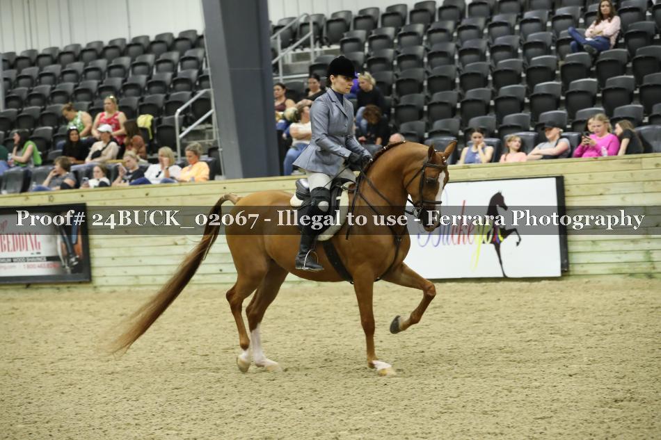 Proof Number 24BUCK_02067