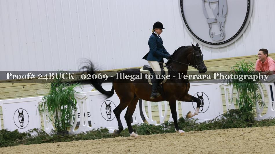 Proof Number 24BUCK_02069