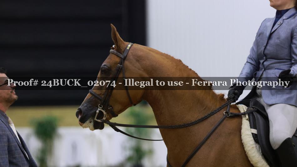 Proof Number 24BUCK_02074