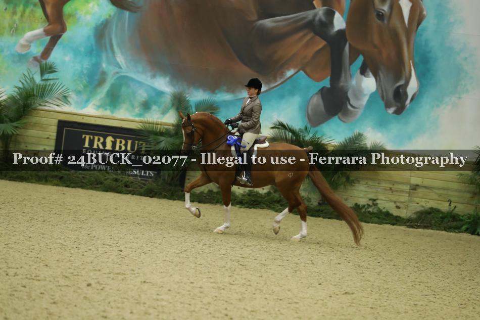Proof Number 24BUCK_02077