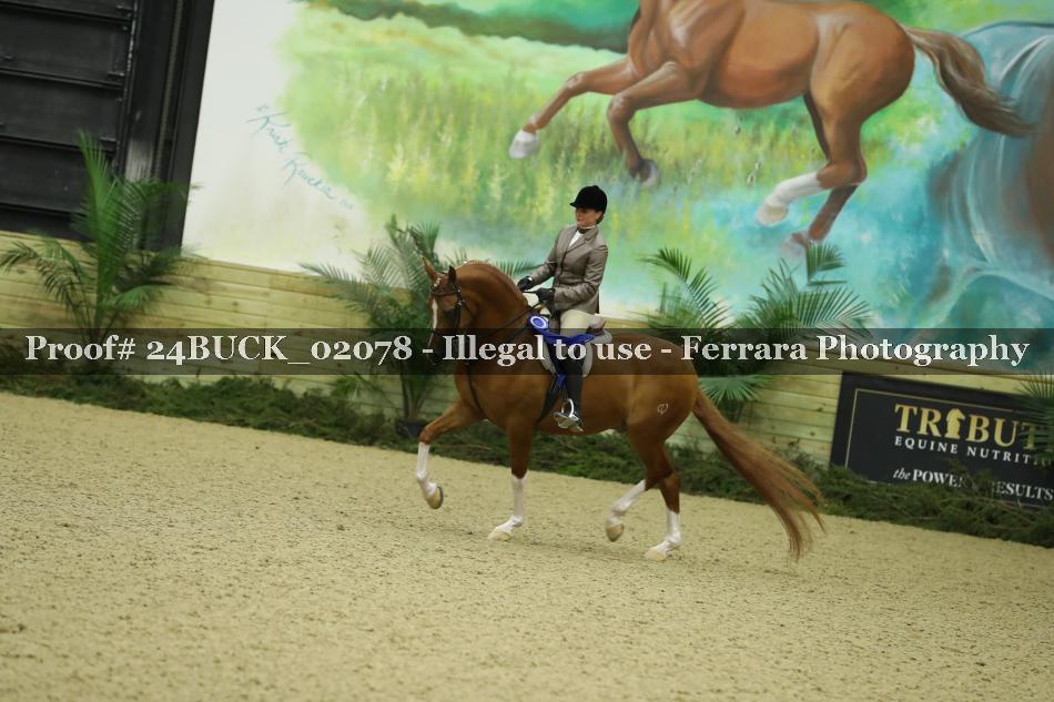 Proof Number 24BUCK_02078