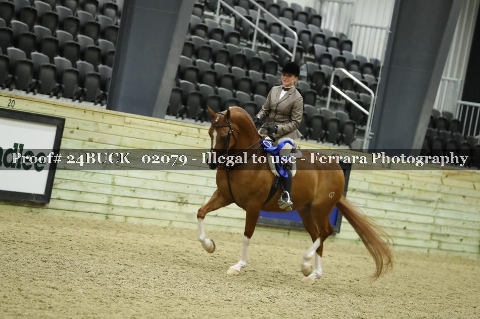 Proof Number 24BUCK_02079