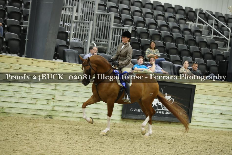 Proof Number 24BUCK_02081