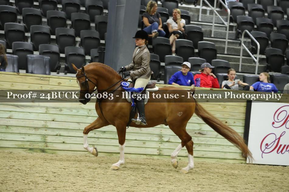 Proof Number 24BUCK_02083