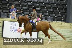 24BUCK_02084 thumbnail