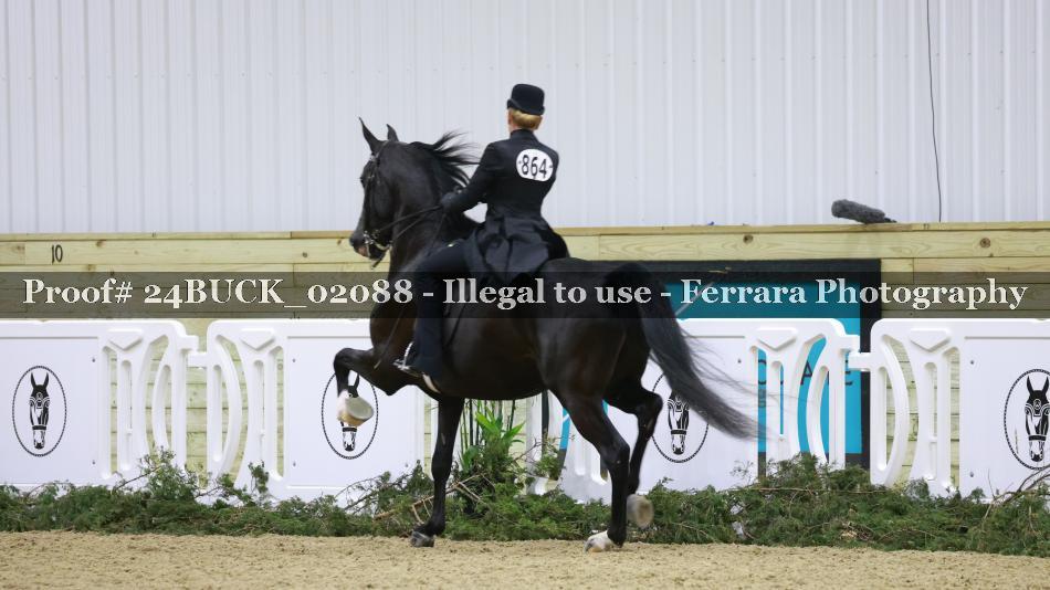 Proof Number 24BUCK_02088