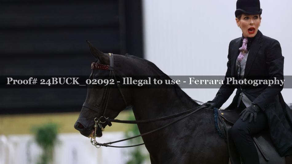 Proof Number 24BUCK_02092