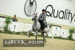 24BUCK_02190 thumbnail