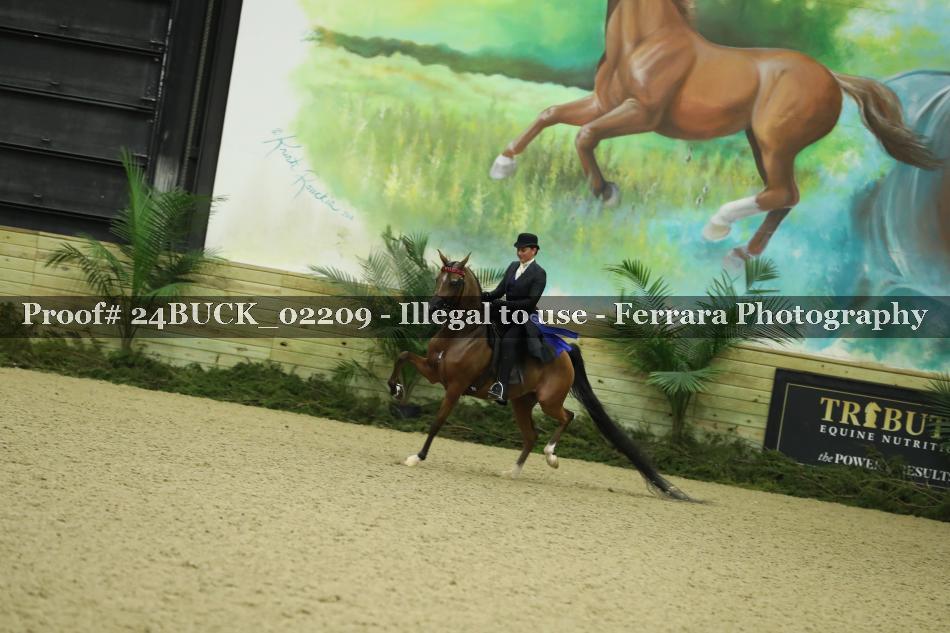Proof Number 24BUCK_02209