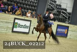 24BUCK_02212 thumbnail
