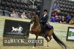 24BUCK_02213 thumbnail