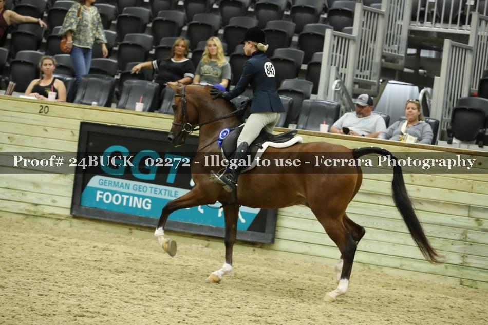 Proof Number 24BUCK_02272