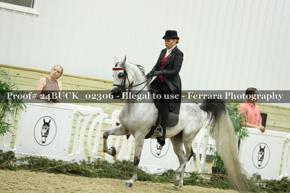Proof Number 24BUCK_02306