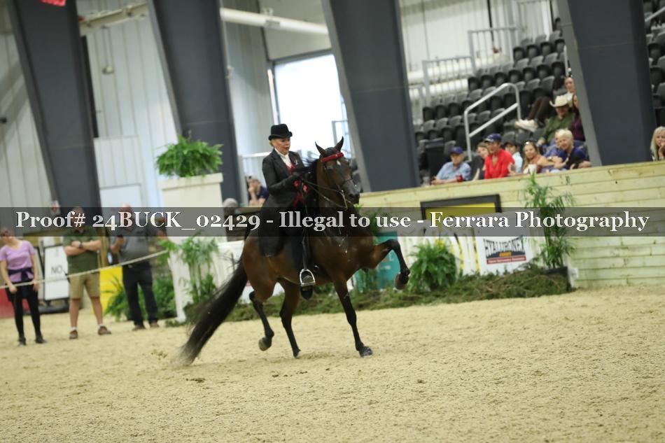 Proof Number 24BUCK_02429