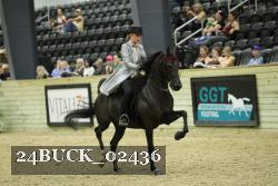 24BUCK_02436 thumbnail