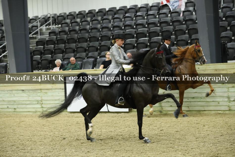 Proof Number 24BUCK_02438