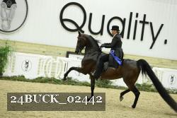 24BUCK_02442 thumbnail