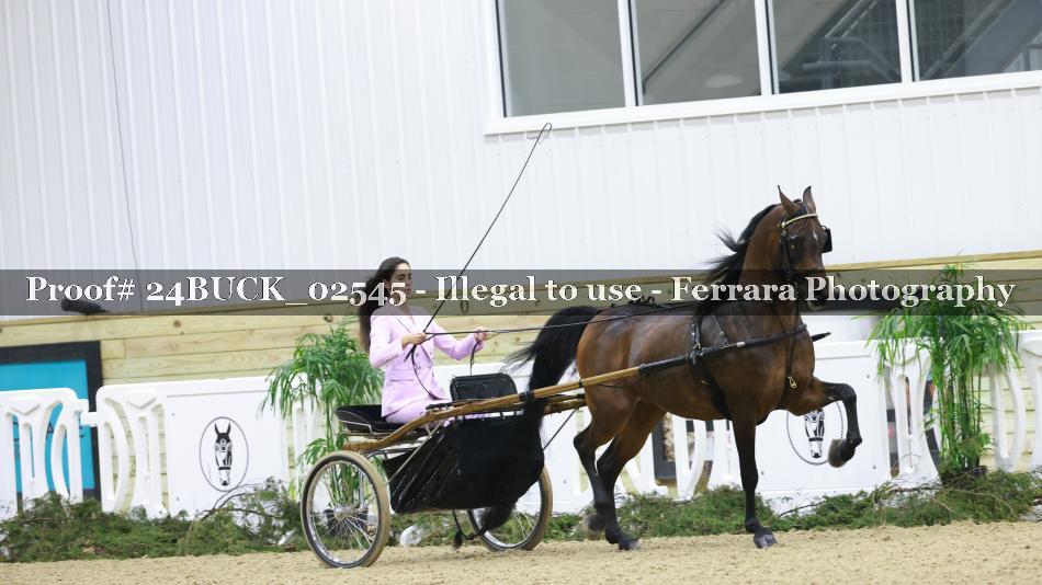 Proof Number 24BUCK_02545